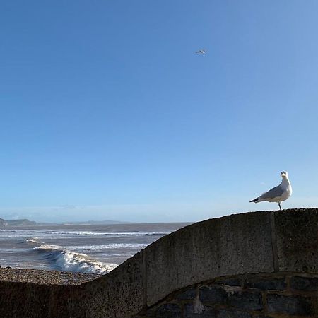 Nettle Bank Bed & Breakfast Lyme Regis Luaran gambar