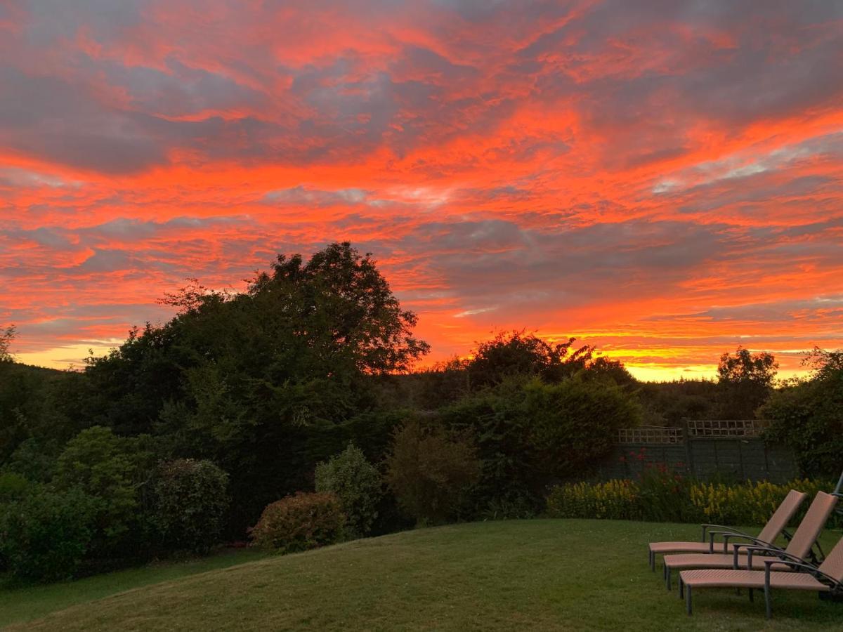Nettle Bank Bed & Breakfast Lyme Regis Luaran gambar