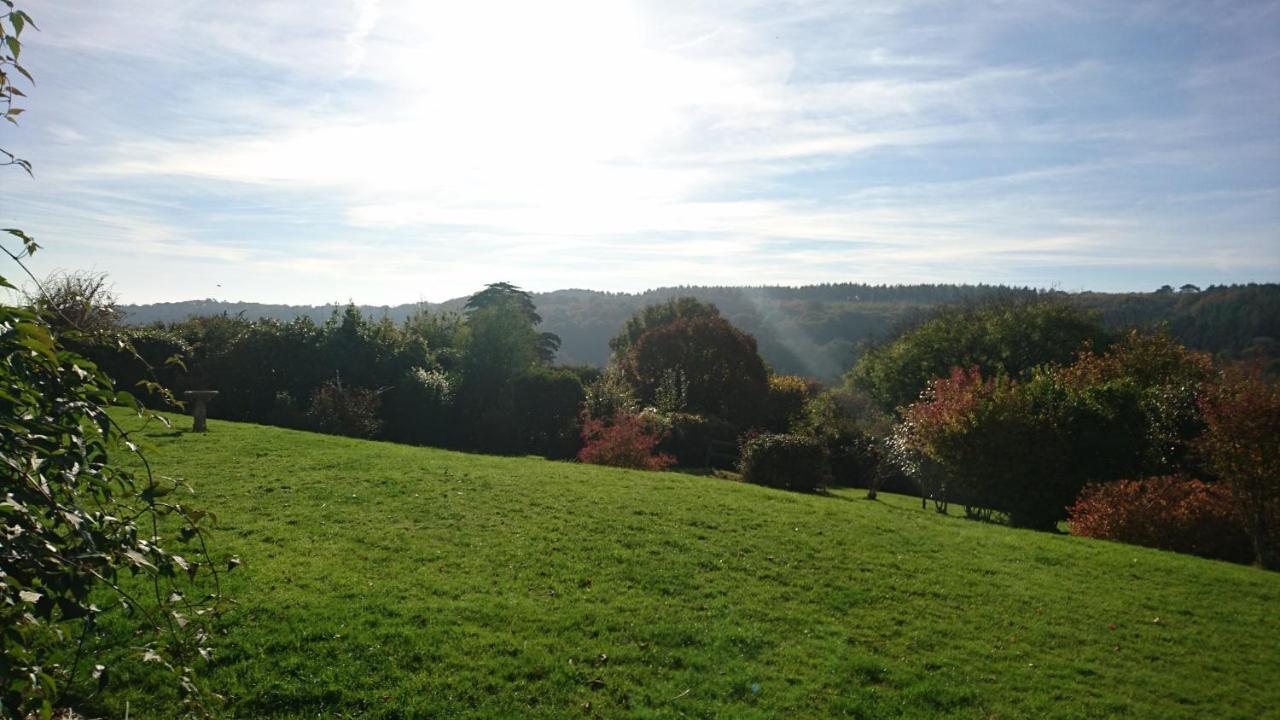 Nettle Bank Bed & Breakfast Lyme Regis Luaran gambar