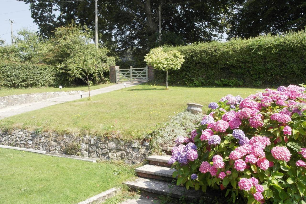 Nettle Bank Bed & Breakfast Lyme Regis Luaran gambar