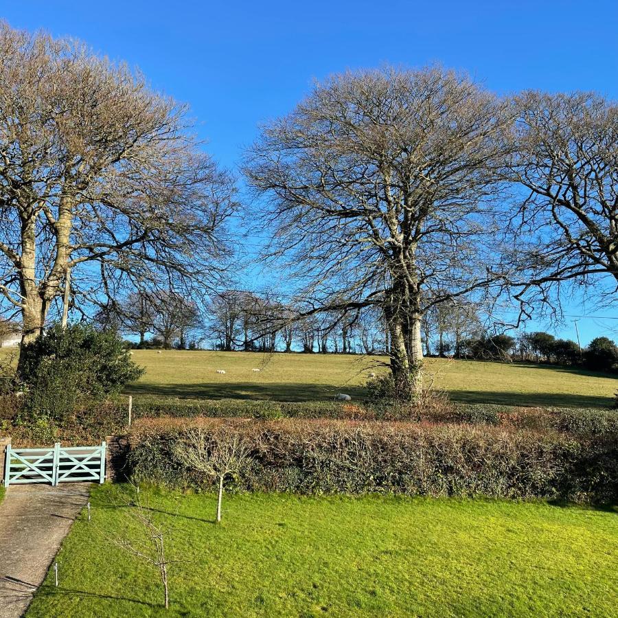 Nettle Bank Bed & Breakfast Lyme Regis Luaran gambar