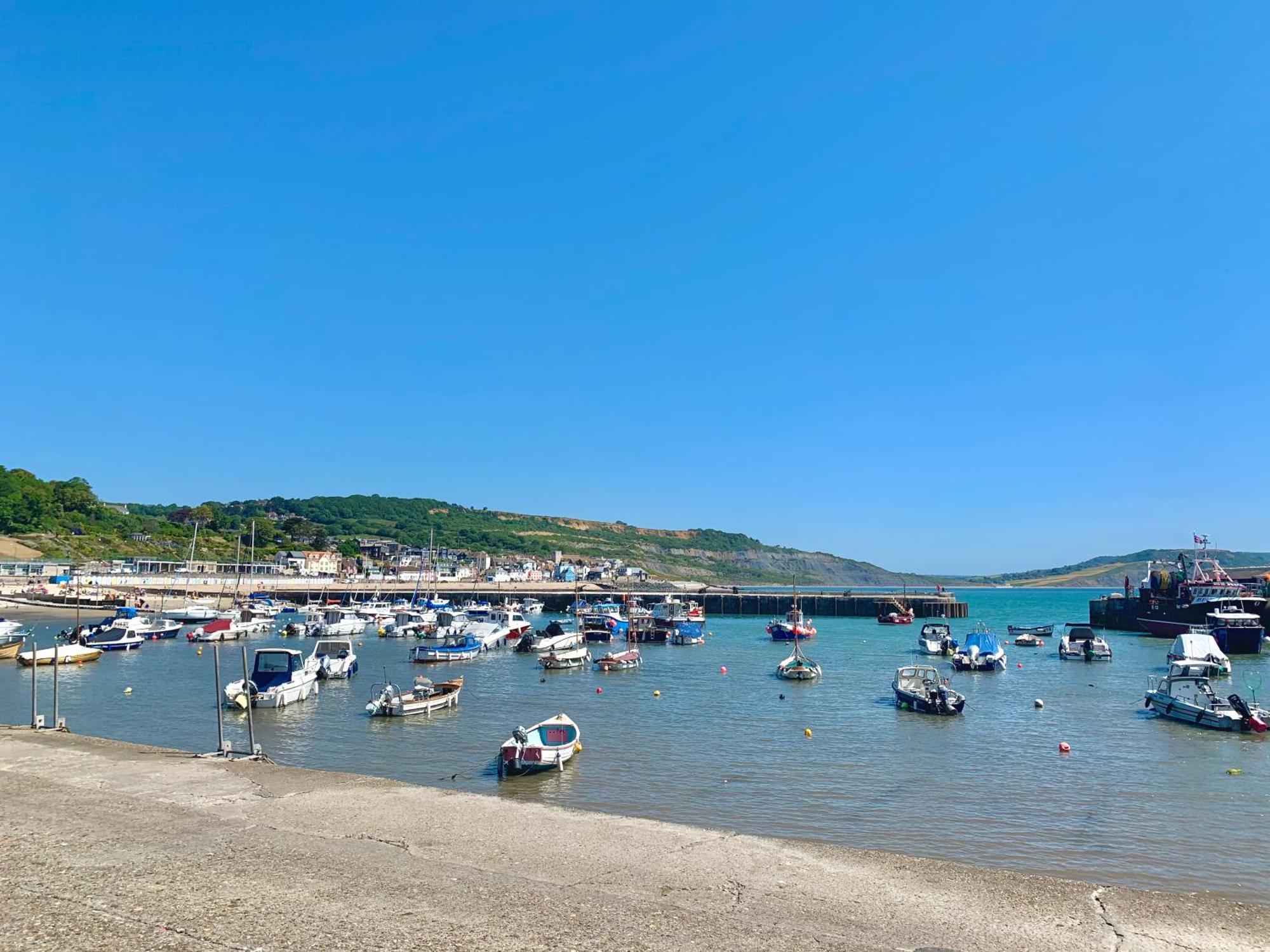 Nettle Bank Bed & Breakfast Lyme Regis Luaran gambar