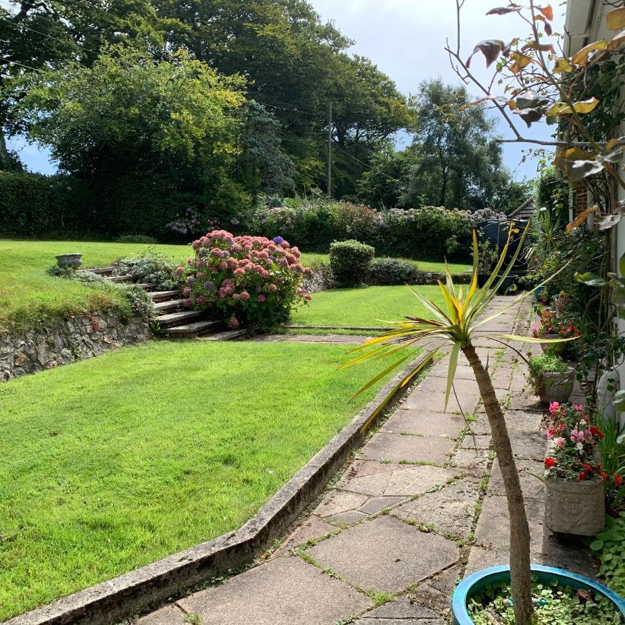 Nettle Bank Bed & Breakfast Lyme Regis Luaran gambar
