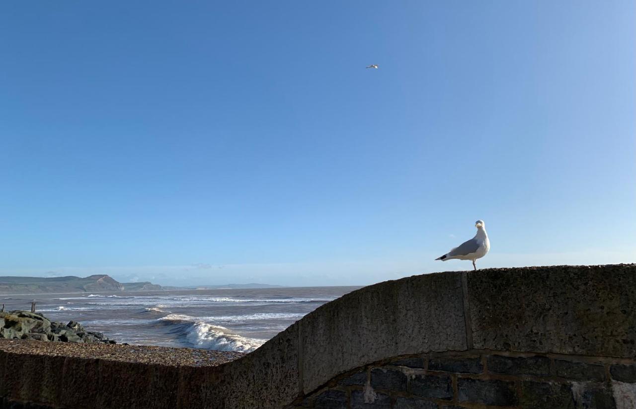 Nettle Bank Bed & Breakfast Lyme Regis Luaran gambar